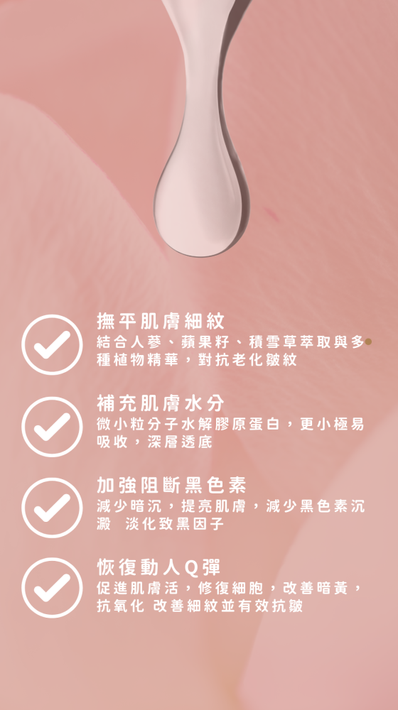 緻密肌因更新安瓶